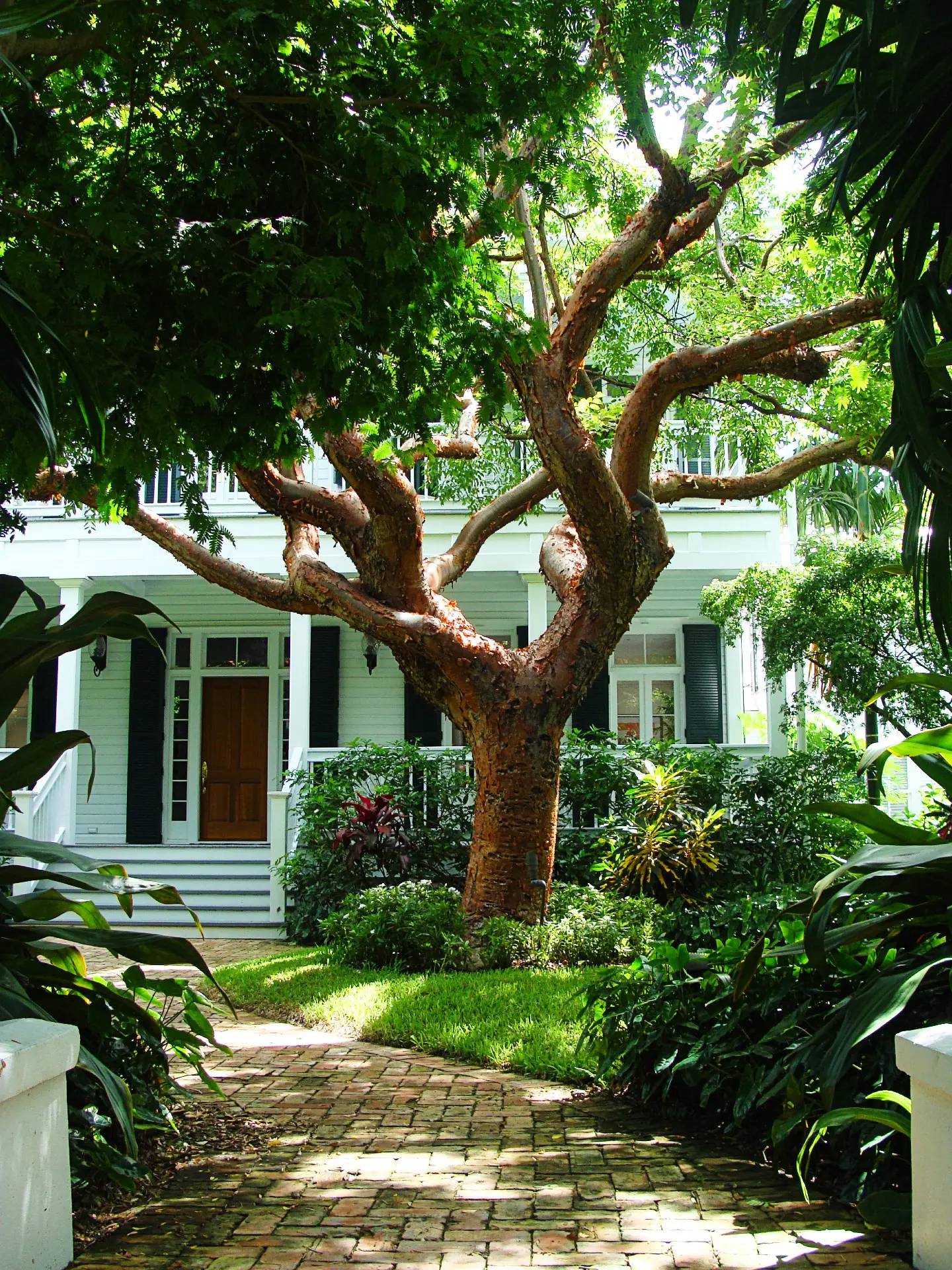 key west(2)1440x1920